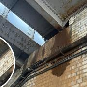 A previously TRAPPED pigeon is freed from caging by Network Rail