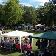 The annual event in Caversham Court returns on July 13