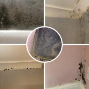 Evidence of mould at the home of Karen Scott, which she shares with her three daughters in St Georges Road, Norcot.