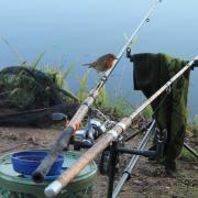From: Alan Goodchild [<mailto:alan.goodchild2@ntlworld.com>] .Sent: 06 January 2015 14:55.To: MS-Oxford Editorial.Subject: Robin..Please see attached copy of picture of robin sitting on my fishing rod.. .Mr Allan Goodchild.date of birth 08. 08.