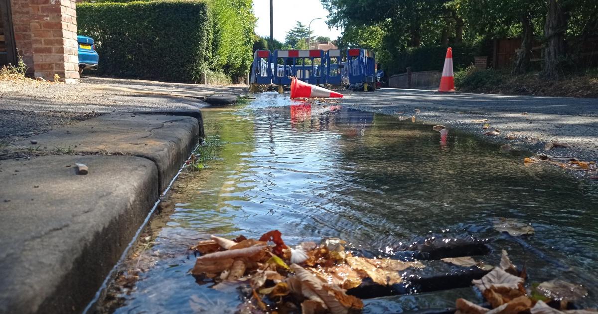 Residents frustrated at two-week long leak in Woodcote Road