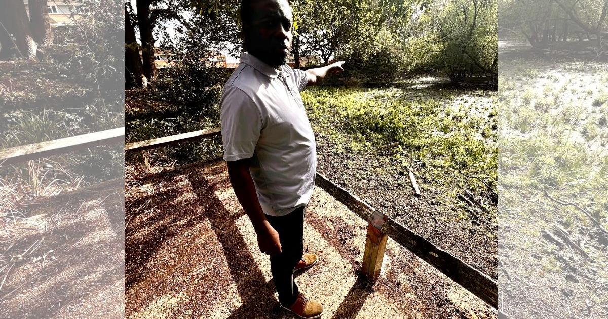 Caversham - Residents upset by pond condition in Queensway