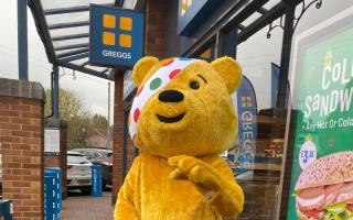 Pudsey outside Greggs in Reading, photographed by Emma King