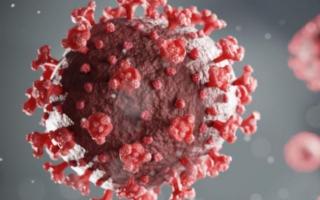 Over 1000 cases of coronavirus were recorded in Berkshire over the weekend. Credit: agency