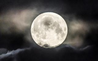 The Super Buck Moon will light up the skies tonight