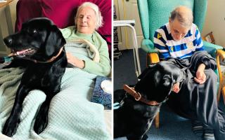 Nala and Hollie Care Home residents